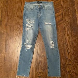 Flying Monkey Skinny Jean